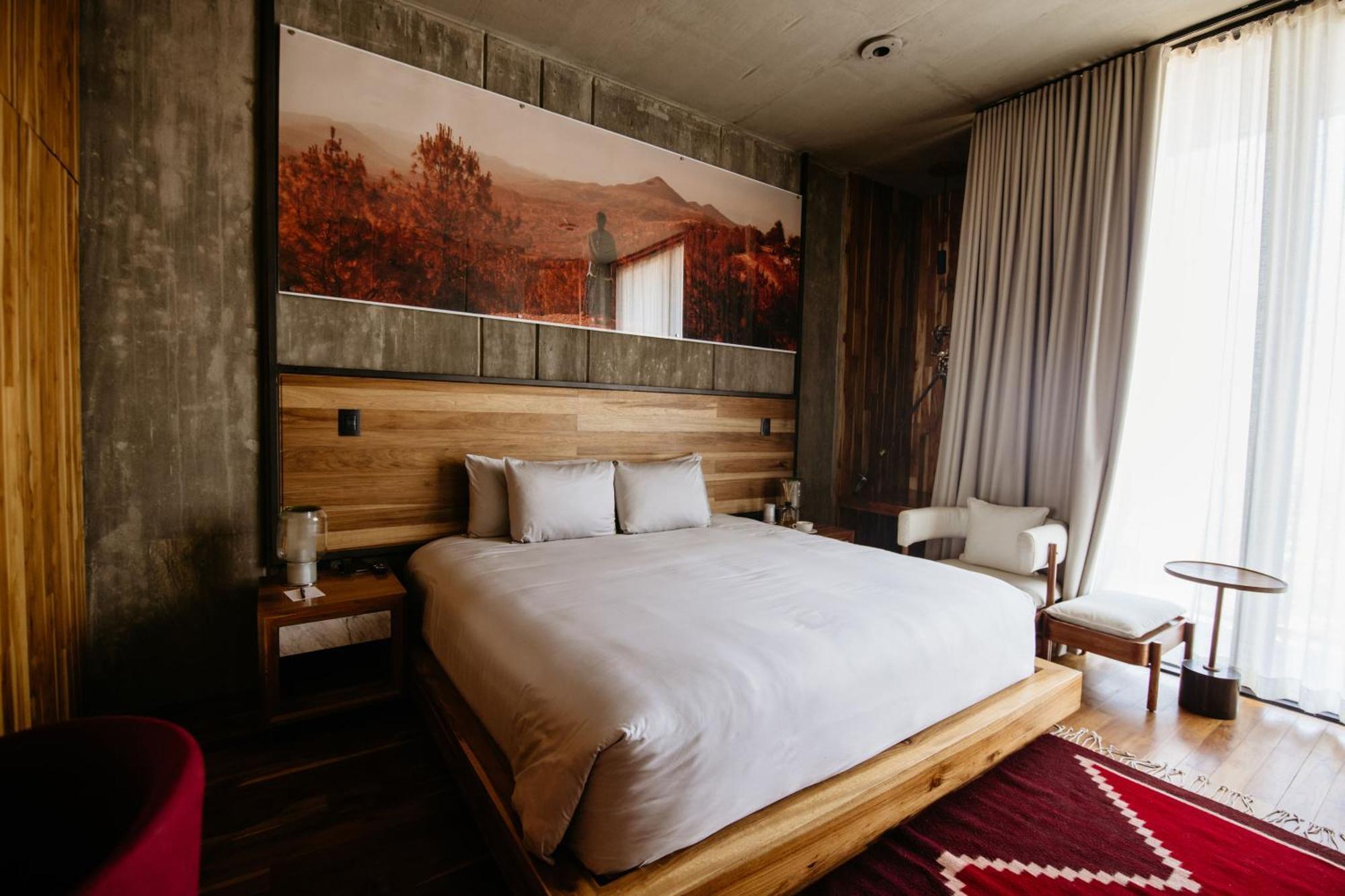 Flavia Hotel Oaxaca Phòng bức ảnh